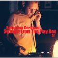 Sebastian Gerstung - Straight From The Play Box