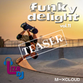 funky delight vol.11 - TEASER