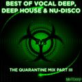 Best Of Vocal Deep, Deep House & Nu-Disco #78 - The Quarantine Mix Part III