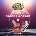 Gospel Praise & Worship vol 2