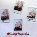 Blooming Magnolias - Ep. 01 | International Women's Day Special