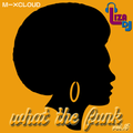 what the funk vol.16