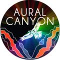 Signals from Aural Canyon