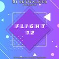 DJ Skywalker - Flight 12