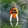 Paul Devro - Pineapples For Pinnipeds