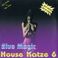 Blue Magic House Katze 6