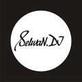 SelivaN.DJ-Dirty Beat 13