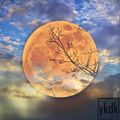 Marmalade Moon -オレンジの月-