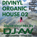 Divinyl Organic House 02