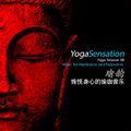 Yoga Session 08 - Music for Meditation and Relaxation