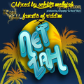 Netzah Riddim (rosegold entertainment 2009) Mixed By SELEKTA MELLOJAH FANATIC OF RIDDIM