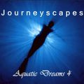 PGM 161: Aquatic Dreams 4