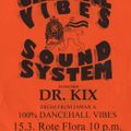 Crucial Vibes Soundsysten 5th Annyversary at Rote Flora, feat Dr Kix