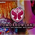 Tomorrowland 2020 - Electro House Festival Mix 2020 | Best Of EDM Party Dance Music
