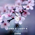 Melodic Progressions Show @ DI.FM Episode 176 - Luna & Liggy K