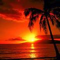 Beamy Island Sunset #90