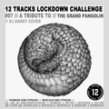 Lockdown Challenge #07 /// A Tribute To /// Dj Harry Cover /// Tribute To The Grand Pangolin