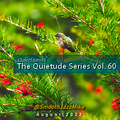 The Quietude Series Vol. 60 (Aug 2022)