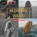 Dj Bin - In The Mix Vol.173