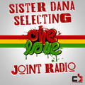 Joint Radio mix #161 - Sister Dana selecting 49