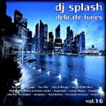 Dj Splash (Lynx Sharp) - Delicate tunes vol.16 2015