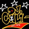 Cali Party Mix by DJ Cali