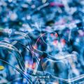 [ 迷你混音帶 ] MINI-MIXTAPE/ VOL.004 by Litro