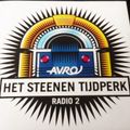 Medleys in de popmuziek 3 van 5 [Steenen Tijdperk Xtra Podcast Special] AVRO 2013