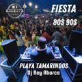 PARTY 80s 90s / Playa Tamarindos / Dj Ray Abarca
