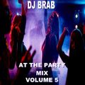 DJ Brab - At The Party Mix Vol 5 (Section DJ Brab)