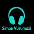 House Music Selection | In The Zone |SV