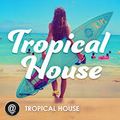 tropical  house 2017 dj john badas