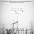 GUY VAN DER GRAAF for WAVES RADIO #27 - Focus on [Greyscale] (Pt.2)