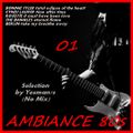minimix AMBIANCE 80s 01 (Bonnie Tyler, Cyndi Lauper, Roxette, The Bangles, Berlin)