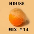 HOUSE MIX #14