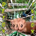 DETOX // INTOX #031: Best Of The 2010s