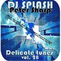Dj Splash (Peter Sharp) - Delicate tunes vol.28 2017
