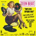 TEEN BEAT - THE GIRLS OF THE SIXTIES!
