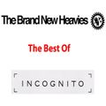 The Best of The Brand New Heavies and Incognito