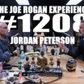 #1208 - Jordan Peterson