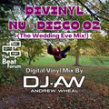 Divinyl Nu Disco 02