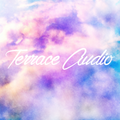 Terrace Audio Guest Mix - Ronan Wilson