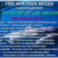 THE DOLPHIN MIXES - VARIOUS ARTISTS - ''VOLUME 18'' (RE-MIXED)