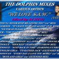 THE DOLPHIN MIXES - VARIOUS ARTISTS - ''WE LOVE  S.A.W.'' (VOLUME 6)
