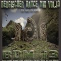 Bergischer Dance Mix Vol. 13