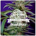 MadMax 420 Herbalist Mixtape for Viva Sativa 