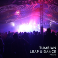 Leap & Dance Mix 13