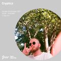 Crypticz 03RD OCT 2021