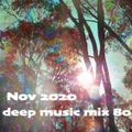 Nov 2020 deep music mix 80