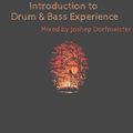 Introduction to Drum & Bass Experience